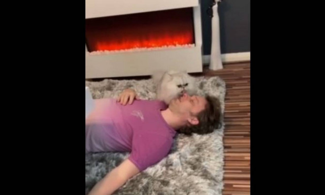 Η αντίδραση μιας γάτας όταν το αφεντικό της «πεθαίνει» (vid)