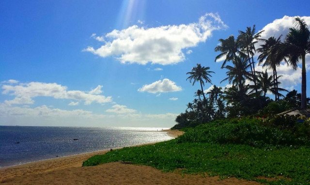 Απίστευτο! Τυφώνας «έσβησε από τον χάρτη» νησί στη Χαβάη (pics+vid)