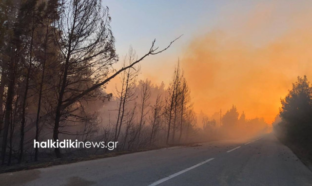 Fire broke out in Sithonia, northern Greece (pics)
