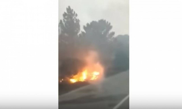 Συγκλονιστικό βίντεο: Δείτε από πού ξεκίνησε η φωτιά στη Σιθωνία Χαλκιδικής