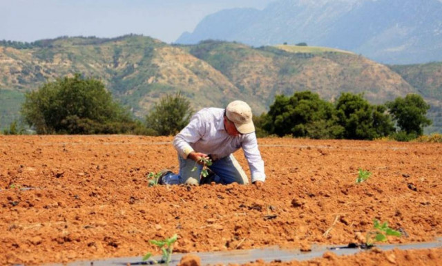 ΟΠΕΚΕΠΕ: Πότε θα μπουν στην τράπεζα τα χρήματα της επιδότησης
