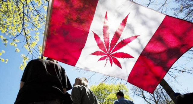Καναδάς: Ξεπούλησε η κάνναβη - Κλειστά τα καταστήματα τρεις μέρες τη βδομάδα λόγω αυξημένης ζήτησης