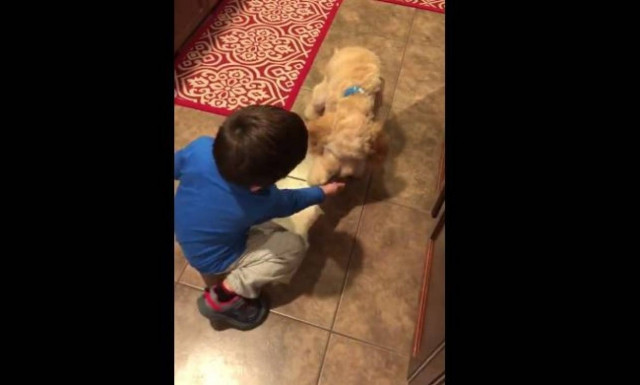 Ο μικρός που μαθαίνει κόλπα στο σκύλο του (vid)