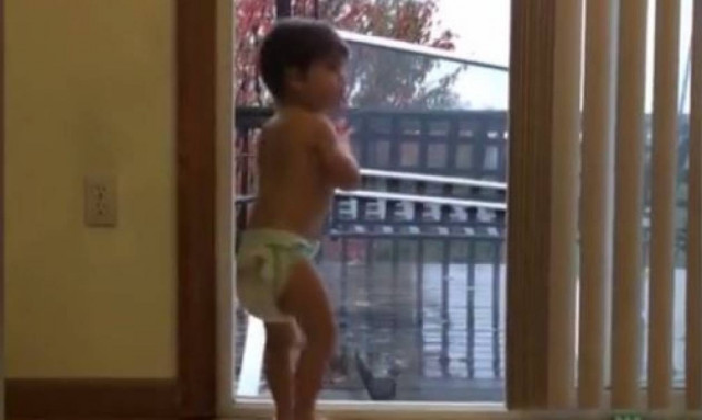 Όταν οι μικροί μας φίλοι έχουν… νεύρα (vid)