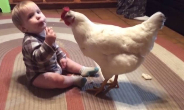 Όταν μικρά παιδιά μοιράζονται το φαγητό τους! (vid)