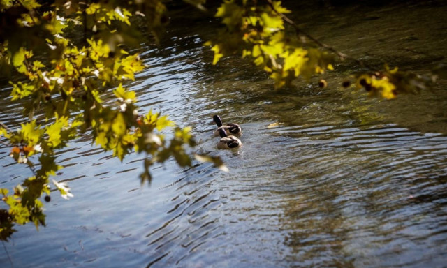 Weather forecast: Mostly fair on Tuesday (06/11/2018)