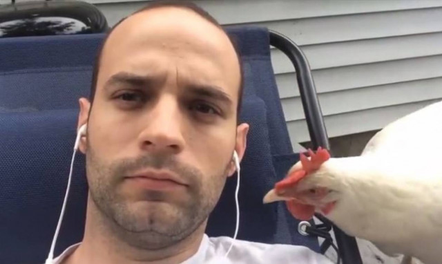 Ξεκαρδιστικό! Όταν τα κοτόπουλα κάνουν αστεία (vid)