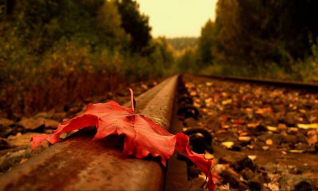 Ιδιαίτερα ξηρός και χωρίς βροχές ο φετινός Οκτώβρης στην Ευρώπη