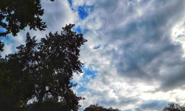 Weather forecast: Mostly fair on Tuesday (13/11)