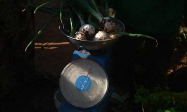 Ξεχάστε ό,τι ξέρατε: Αλλάζει ο τρόπος υπολογισμού του κιλού! (vid)