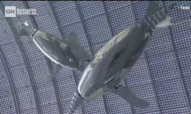 Τα ρομπότ που... κολυμπούν και πετούν! (vid)