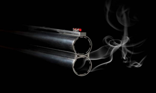 Φθιώτιδα: Δεν τα βρήκαν στην τιμή και την πυροβόλησε