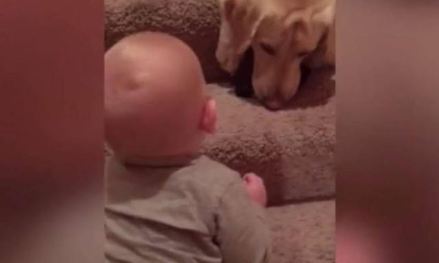 Το απίστευτο γέλιο μωρού με τον αγαπημένο του τετράποδο φίλο (vid)