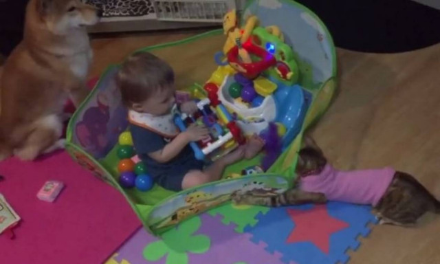 Μωρό βρήκε ήδη τους καλύτερούς του φίλους (vid)