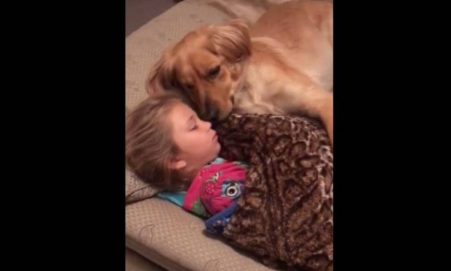 Ο πιο γλυκός ύπνος παιδιού και σκύλου (vid)