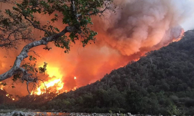 Φωτιές Καλιφόρνια: Αυξάνεται συνεχώς ο αριθμός των νεκρών - Πάνω από 1.000 αγνοούμενοι (pics+vids)
