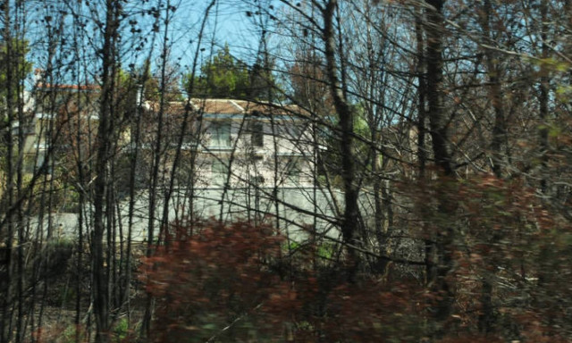 Συγκίνηση στη Σμύρνη: Φύτεψαν 100 δέντρα στη μνήμη των θυμάτων της φονικής πυρκαγιάς στο Μάτι