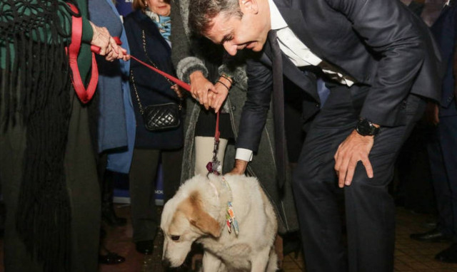 Μητσοτάκης: Aς μη φορολογήσουμε και τα ζώα συντροφιάς