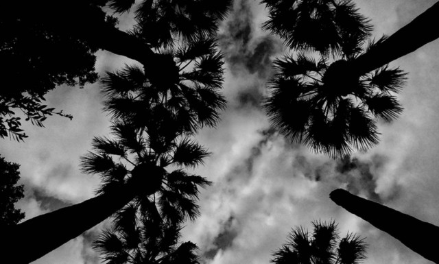 Weather forecast: Partly cloudy on Thursday