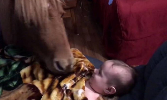 Μωρό δεν κοιμάται αν δεν του πει καληνύχτα το… πόνι του (vid)