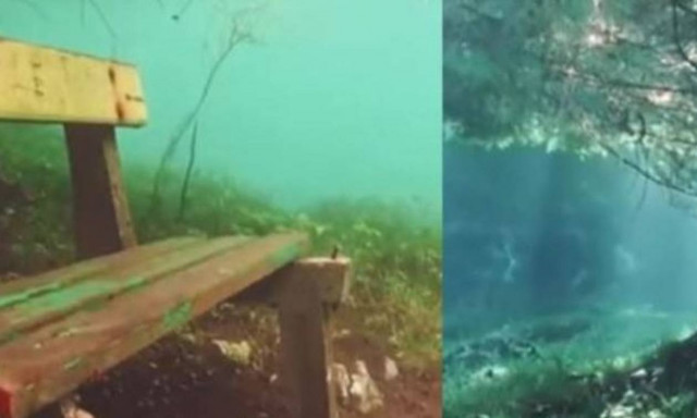 Δώδεκα μέτρα κάτω από το νερό της λίμνης υπάρχει ένα ολόκληρο δάσος! (vid)