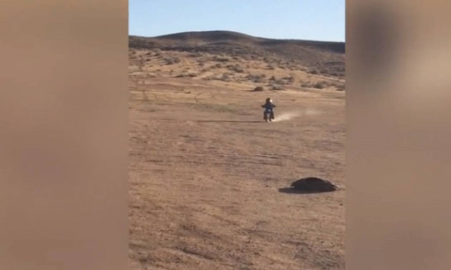 Ο μικρός μοτοσικλετιστής που θα σας εντυπωσιάσει (vid)