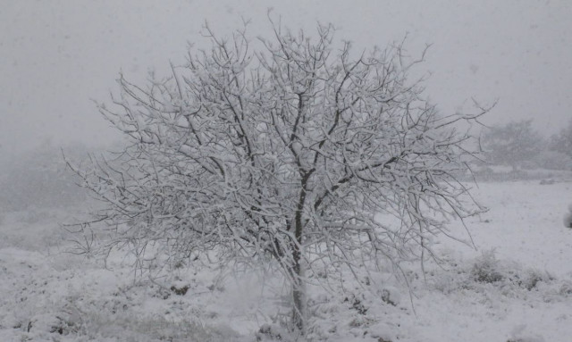 Έκτακτο δελτίο επιδείνωσης καιρού: Έρχονται χιόνια, πτώση θερμοκρασίας και θυελλώδεις άνεμοι