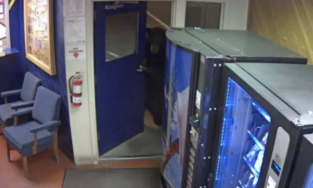 Απρόσμενος επισκέπτης έκανε «ντου» σε αστυνομικό τμήμα στην Καλιφόρνια (vid)