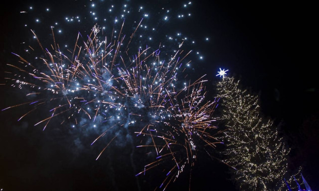 Φωταγωγήθηκε το πιο ψηλό φυσικό χριστουγεννιάτικο δέντρο στην Ελλάδα - Πού βρίσκεται (pics)