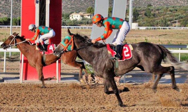 ΕΝΕΠΔΙ: Το νέο αθλητικό νομοσχέδιο βάζει σωστές βάσεις για τις ελληνικές ιπποδρομίες