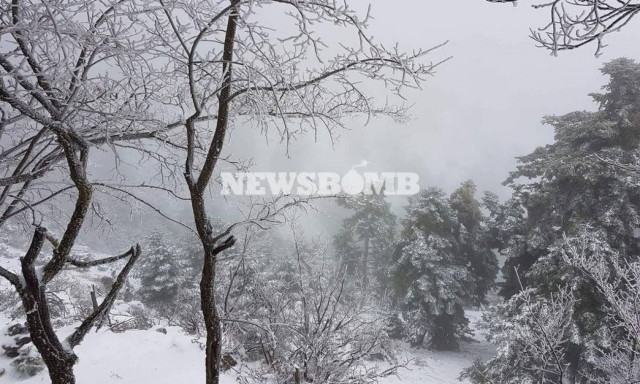 Καιρός: Χιόνιζε όλη νύχτα στην Πάρνηθα – Λευκό τοπίο στο βουνό της Αθήνας (pics+vids)
