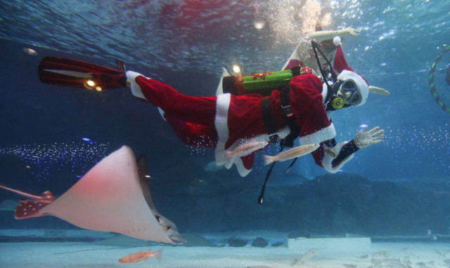 Όταν ο Άγιος Βασίλης πήγε για μια... βουτιά (pics)