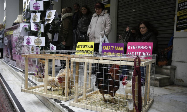 Με κότες και κοκόρια η ΠΟΕΔΗΝ στο υπουργείο Υγείας (pics)
