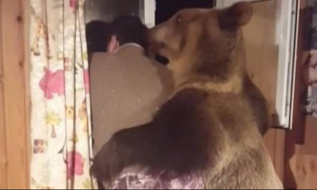 Απίστευτος Ρώσος έχει για κατοικίδιο μία… πελώρια αρκούδα! (vid)