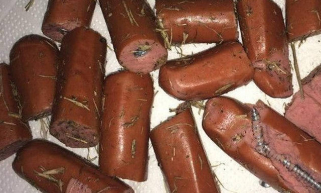 Φρίκη στο Κιλκίς: Έδωσε σε σκυλιά λουκάνικα με βίδες