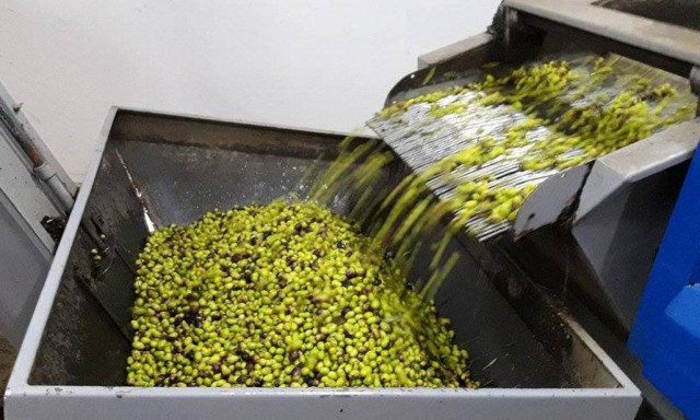 Απίστευτο: Ιδιοκτήτης ελαιοτριβείου μήνυσε αστυνομία και υπουργείο - Δείτε γιατί