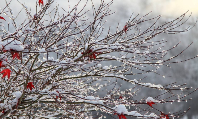 Η ΕΜΥ ενημερώνει: Με τι καιρό θα κάνουμε Χριστούγεννα