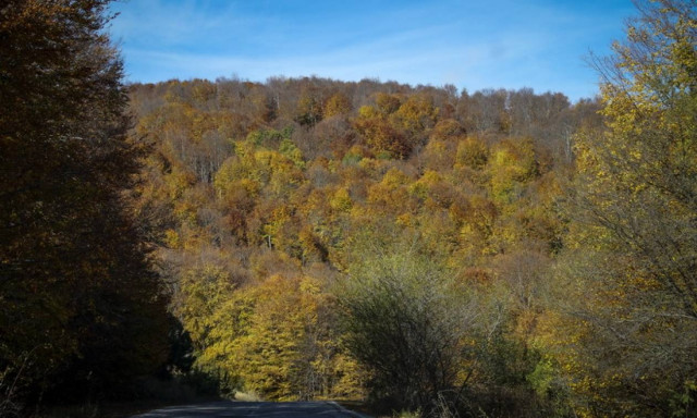 Υποχωρούν τα φαινόμενα και ανεβαίνει η θερμοκρασία την Πέμπτη - Ο καιρός τα Χριστούγεννα (pics)