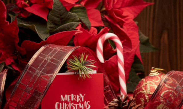 Χριστουγεννιάτικες αγορές: Τι πρέπει να προσέξουν καταναλωτές και επιχειρηματίες