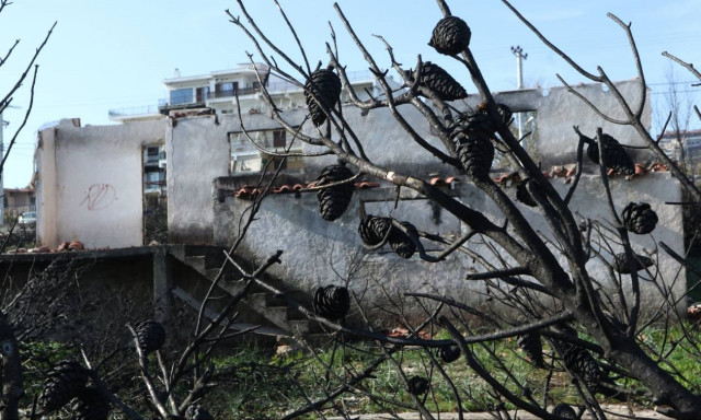 Μάτι: Έρημη πόλη έξι μήνες μετά τη φονική πυρκαγιά με τους 100 νεκρούς (pics)