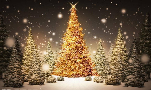 Το θαύμα των Χριστουγέννων (Αληθινό Περιστατικό)