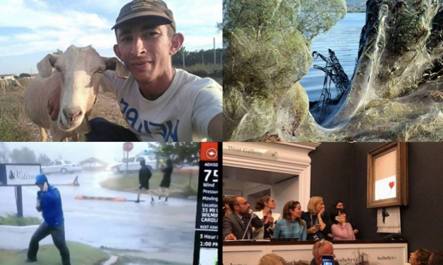 Ανασκόπηση 2018: «Συνέβη κι αυτό» - Οι ειδήσεις της χρονιάς που μας… άφησαν με το στόμα ανοιχτό!