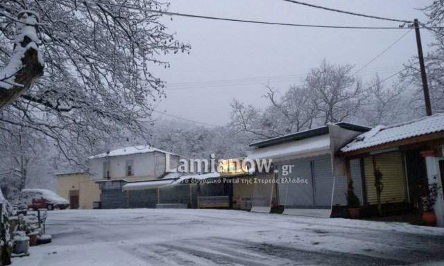 Καιρός: «Λευκή» η τελευταία μέρα του χρόνου στη Φθιώτιδα (pics+vids)