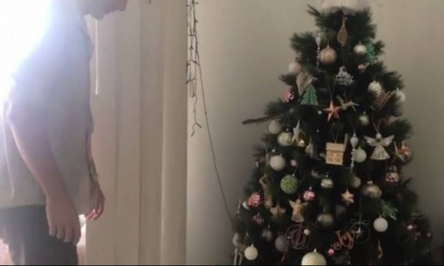 Ένα φίδι κρυβόταν στο… χριστουγεννιάτικο δέντρο τους (vid)