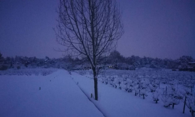 Κακοκαιρία «Τηλέμαχος»: «Παρέλυσε» η χώρα - Αυτοί οι δρόμοι είναι κλειστοί