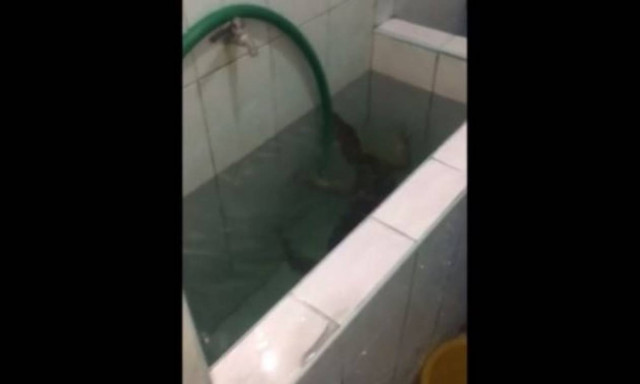 Ανακάλυψε κάτι τρομακτικό στο μπάνιο του! (vid)