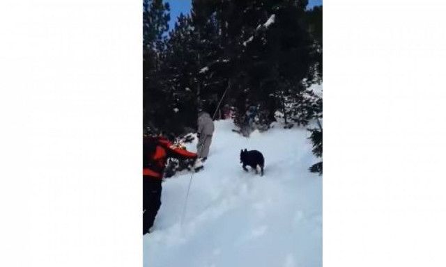 Τρόμος στο Μπάνσκο: Δύο νεκροί από χιονοστιβάδα - Αγωνία για Έλληνες τουρίστες (vid)