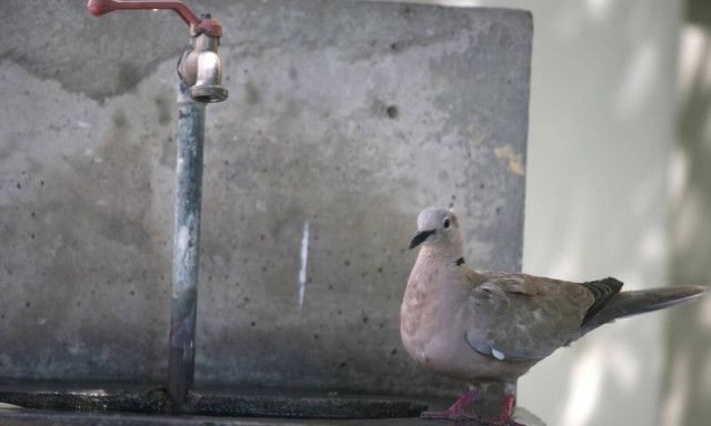 Ξεκίνησε η δίκη για την υπόθεση ρύπανσης στο νερό ύδρευσης τεσσάρων χωριών της Κοζάνης