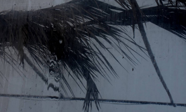 Καιρός: Ο «Φοίβος» έφτασε και έφερε χιόνια, χαλάζι και πλημμύρες σε πολλές περιοχές