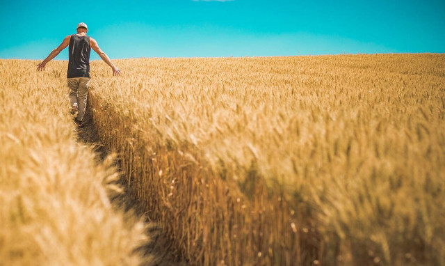 Πότε λήγουν οι αιτήσεις για ένταξη στο πρόγραμμα προώθησης αγροτικών προϊόντων στο εξωτερικό